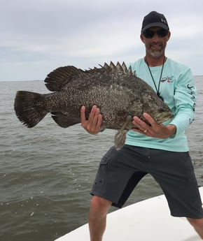 Tripletail fishing in Venice, Louisiana