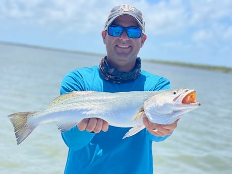 Speckled Trout / Spotted Seatrout fishing in Port O&#039;connor, Texas