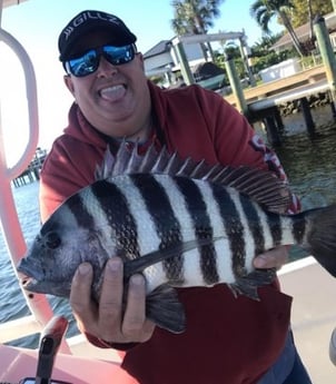 Sheepshead Fishing in St. Petersburg, Florida