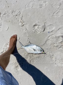 Florida Pompano Fishing in Destin, Florida