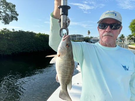 Fishing in Sarasota, Florida