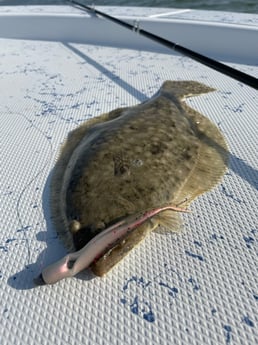 Speckled Trout / Spotted Seatrout fishing in Port Isabel, Texas