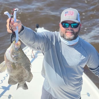 Tripletail fishing in Eastpoint, Florida