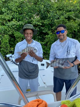 Sheepshead fishing in St. Petersburg, Florida