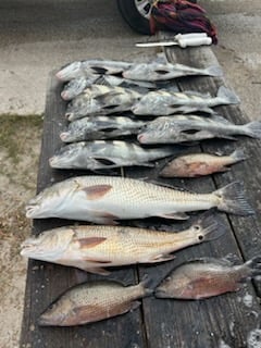 Fishing in St. Augustine, Florida