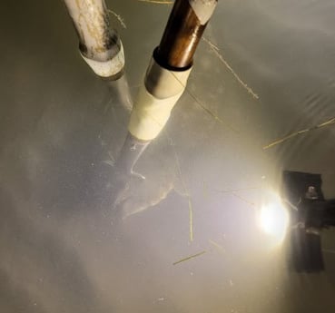 Flounder Fishing in Rio Hondo, Texas