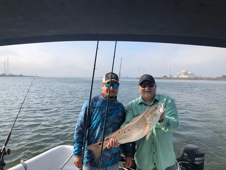 Redfish Fishing in San Antonio, Texas