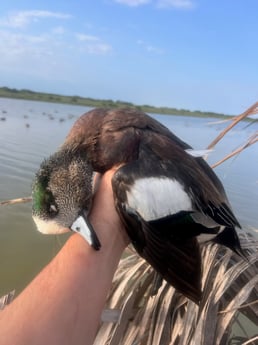 Fishing in South Padre Island, Texas