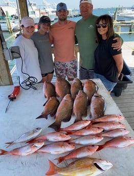 Lane Snapper, Mangrove Snapper, Vermillion Snapper Fishing in Pensacola, Florida