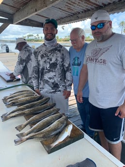 Speckled Trout / Spotted Seatrout fishing in Galveston, Texas