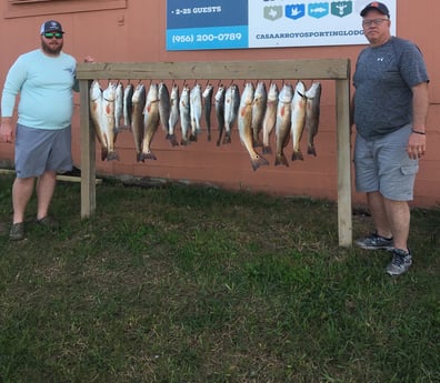 Speckled Trout / Spotted Seatrout fishing in Rio Hondo, Texas