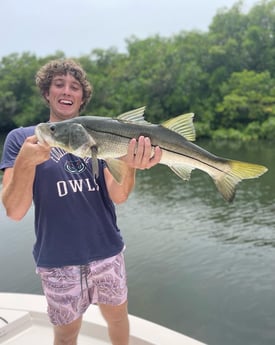 Snook fishing in Sarasota, Florida