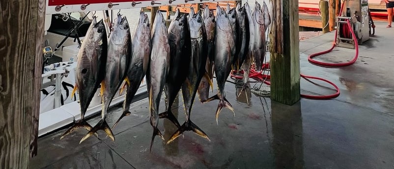 Fishing in Port Aransas, Texas