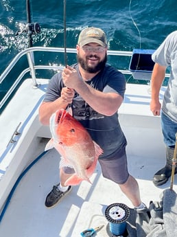 Red Snapper Fishing in Orange Beach, Alabama