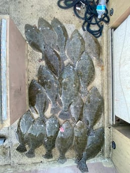 Flounder Fishing in Galveston, Texas