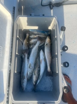 Fishing in Rockport, Texas