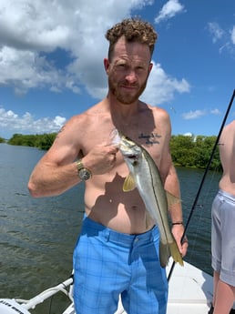 Largemouth Bass fishing in Clearwater, Florida