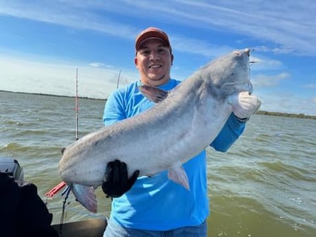 Blue Catfish Fishing in Dallas, Texas