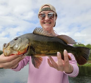 Fishing in Fort Lauderdale, Florida