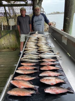 Mangrove Snapper, Redfish, Speckled Trout / Spotted Seatrout Fishing in Surfside Beach, Texas