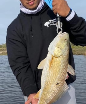 Redfish Fishing in Galveston, Texas