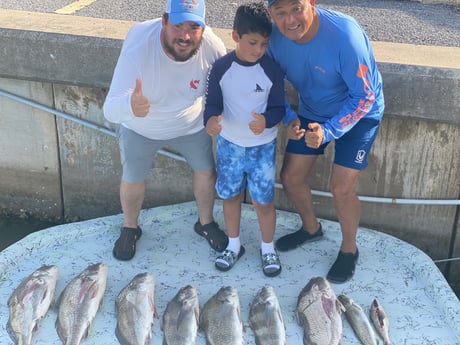 Black Drum, Speckled Trout / Spotted Seatrout fishing in Port Isabel, Texas