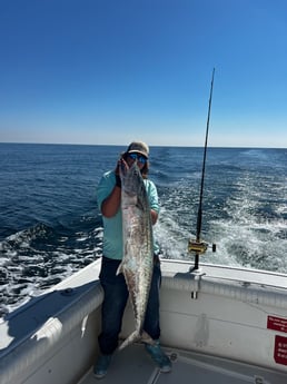 King Mackerel / Kingfish Fishing in Destin, Florida