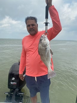 Black Drum Fishing in Galveston, Texas