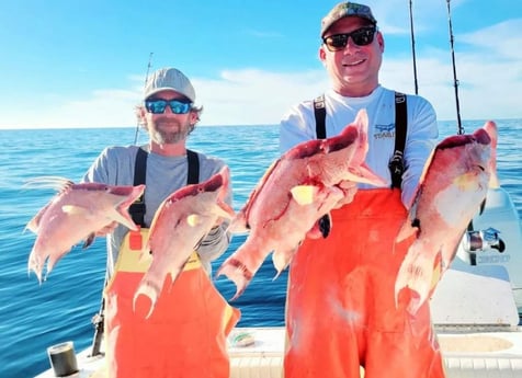 Hogfish Fishing in St. Petersburg, Florida