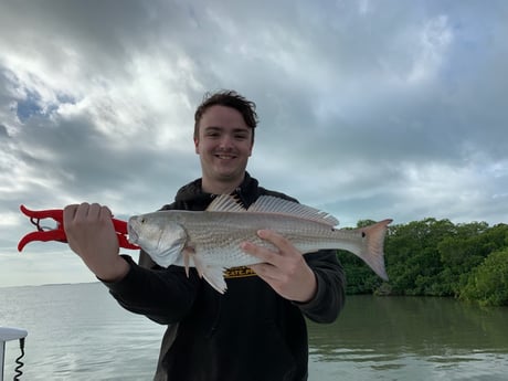 Redfish Fishing in Key Largo, Florida