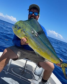 Mahi Mahi / Dorado fishing in Key Largo, Florida