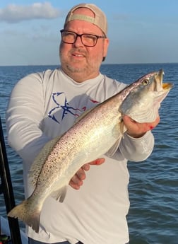 Speckled Trout / Spotted Seatrout fishing in Galveston, Texas