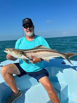 Cobia Fishing in Key West, Florida