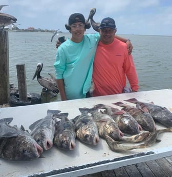 Black Drum fishing in Galveston, Texas