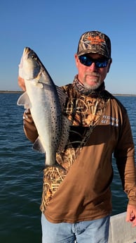 Speckled Trout / Spotted Seatrout fishing in Surfside Beach, Texas