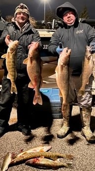 Walleye Fishing in North Muskegon, Michigan