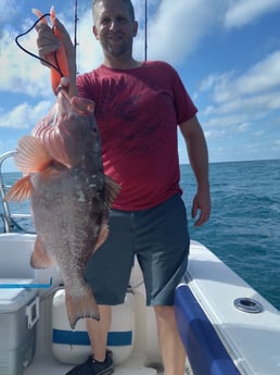 Red Grouper fishing in Clearwater, Florida