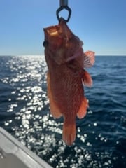 Fishing in Panama City, Florida