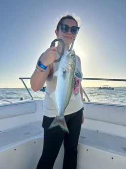 Bluefish Fishing in Port Orange, Florida