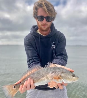 Redfish Fishing in Sarasota, Florida