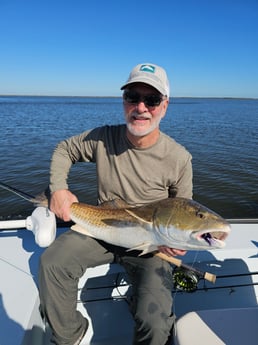 Fishing in New Orleans, Louisiana