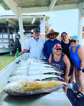 Blacktip Shark, Hardhead Catfish, Redfish Fishing in Surfside Beach, Texas