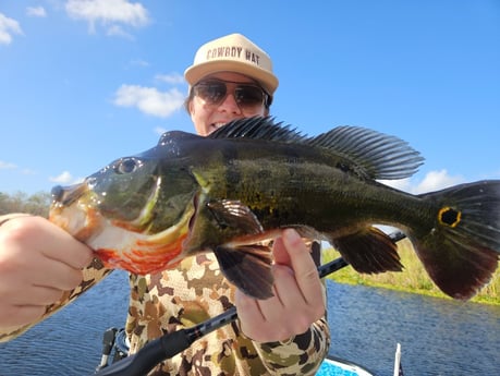 Fishing in Fort Lauderdale, Florida