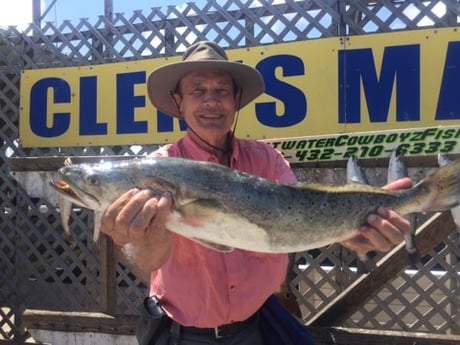 Speckled Trout Fishing in Corpus Christi, Texas