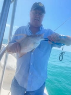 Mahi Mahi / Dorado fishing in Key Largo, Florida