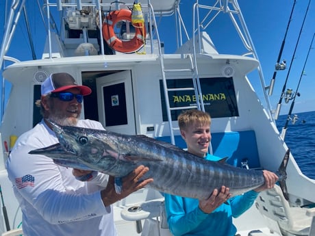 Cero Mackerel fishing in Marathon, Florida