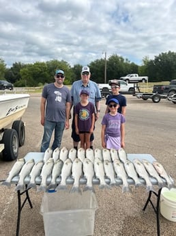 Striped Bass Fishing in Whitney, Texas