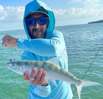 Bonefish fishing in Islamorada, Florida