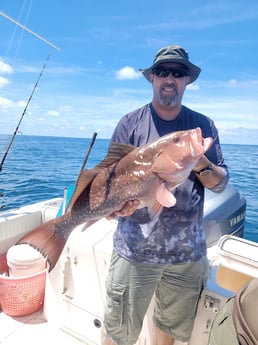 Red Grouper fishing in Clearwater, Florida