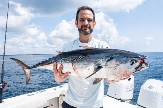 False Albacore Fishing in Boynton Beach, Florida